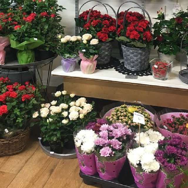 Kukkakauppa ja Hautauspalvelu Venlan kukkavalikoimaa