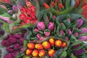 Kukkakauppa ja Hautauspalvelu Venlan tulppaaneja